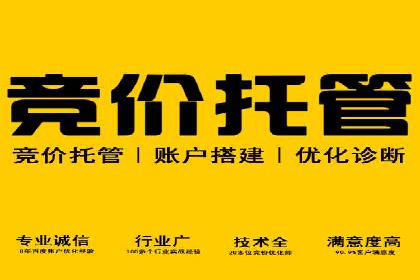 SEM托管公司成功案例：助力企业品牌提升